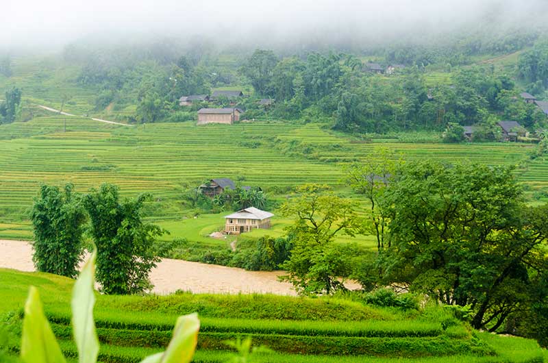 206 - Vietnam - Sapa - paisaje bajo la lluvia
